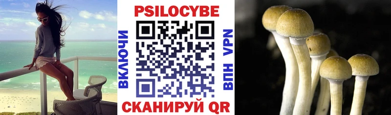 гидра онион  Жердевка  Галлюциногенные грибы Cubensis 